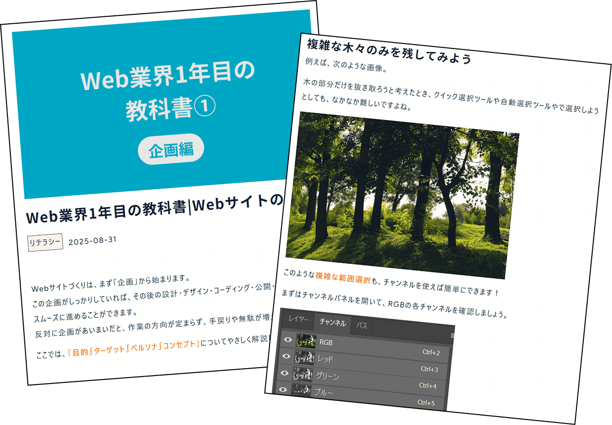 記事の一部を紹介します